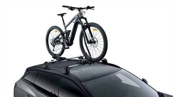 Renault Austral z nameščenim nosilcem za kolesa.