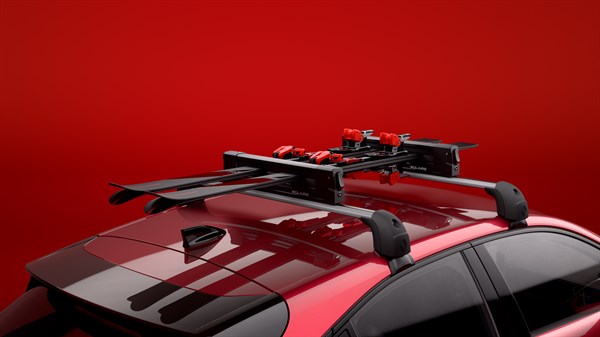 Na strešnih nosilcih vozila Clio sta nameščena strešna nosilca za smuči z nameščenimi smučmi.